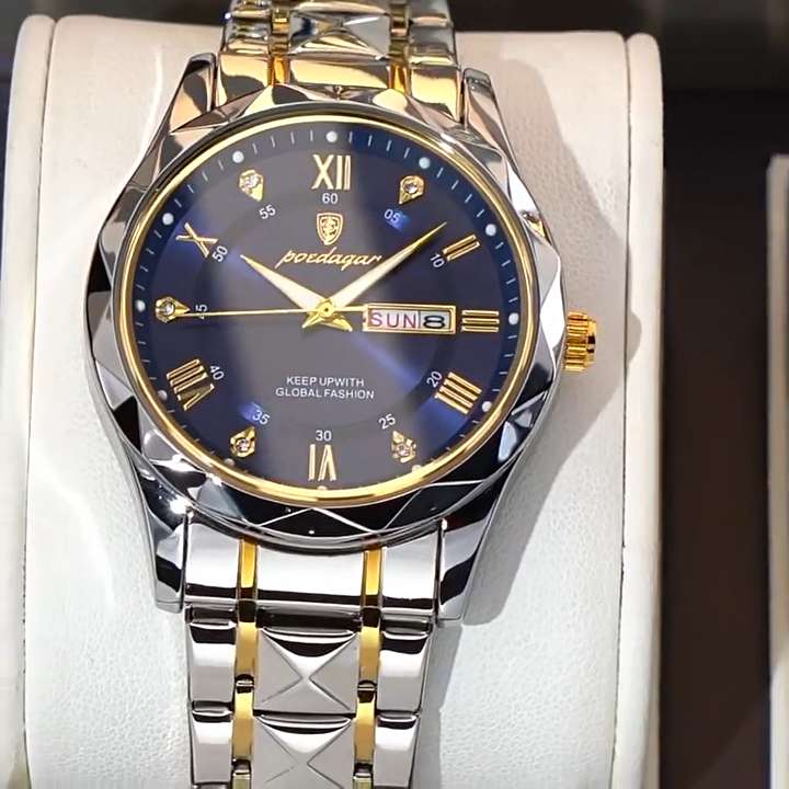 Podedagar - Men's Luxury Brand Watch, Waterproof, Luminous, Week Date, Stainless Steel, Quartz